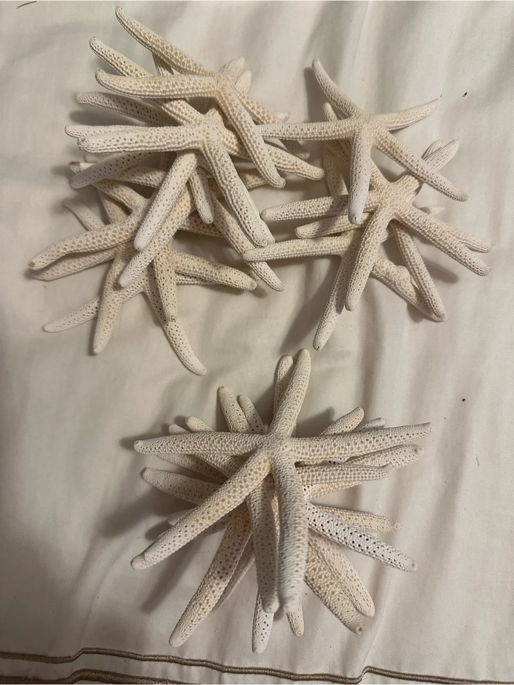 Natural White Starfish Set – Decorative Seashell Accents